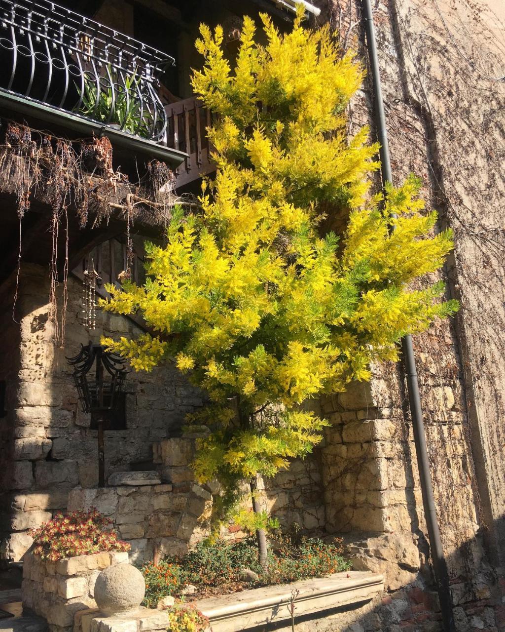 Bed and Breakfast Torre de Salis Gussago Exterior foto